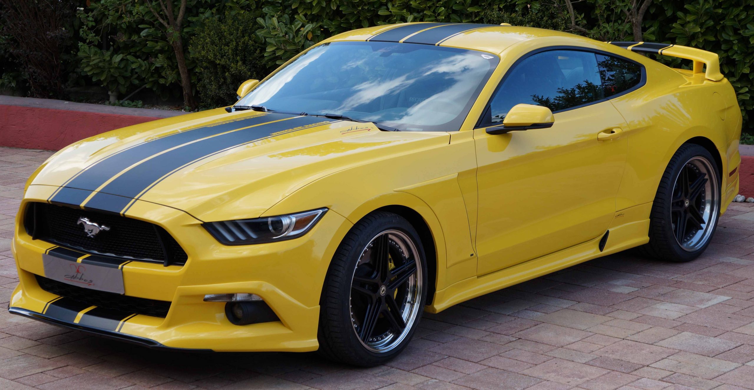 Estriberas laterales Ford Mustang 2015 - Imagen 2
