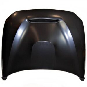 Capó BMW F20/F21 12-19 F22/F23 2014+ F87 M2 Look GTS