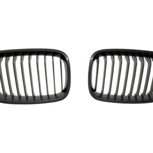 Parrilla BMW F20 / F21 2012-2014 II