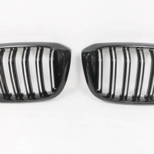 Parrilla BMW G01 X1
