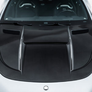 FIBRA CARBONO Hood Mercedes-AMG GT 43 / 63 / 55 / 63 S E Performance C192